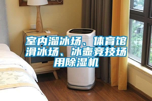 室內溜冰場、體育館滑冰場、冰壺競技場用除濕機