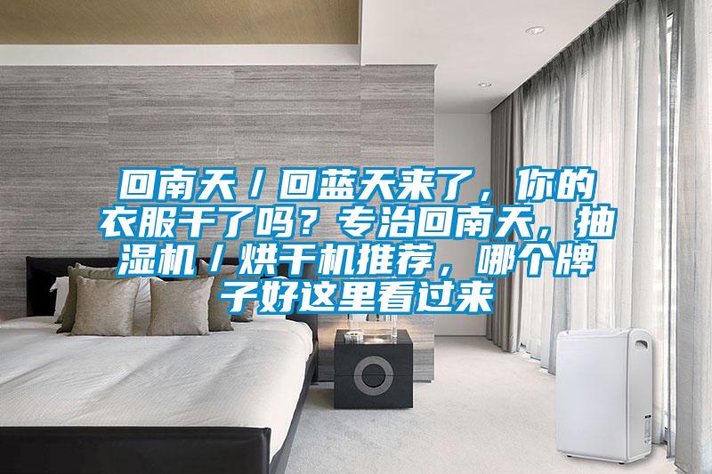 回南天／回藍天來了，你的衣服干了嗎？專治回南天，抽濕機／烘干機推薦，哪個牌子好這里看過來