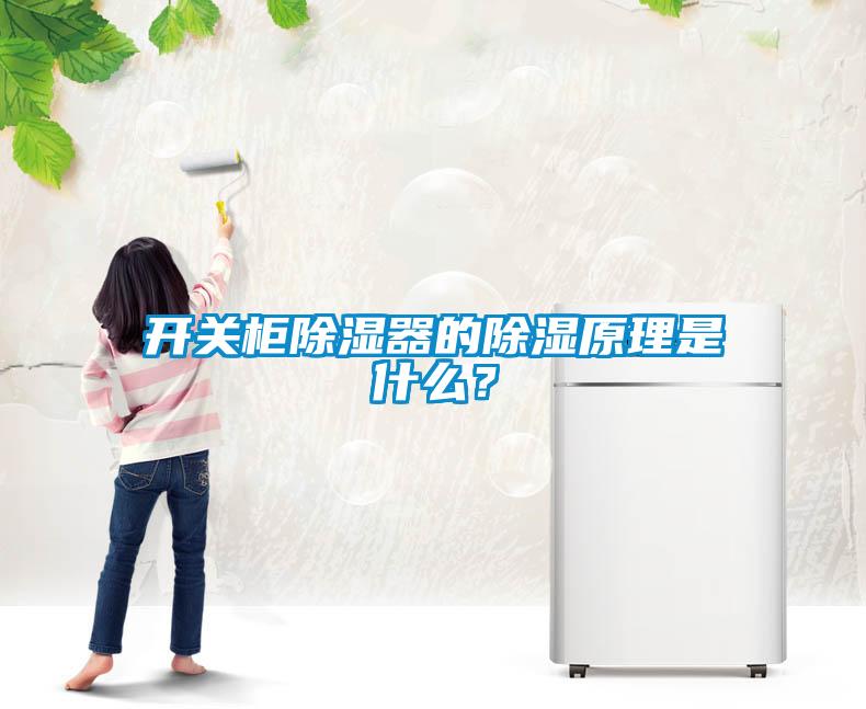 開關柜除濕器的除濕原理是什么？