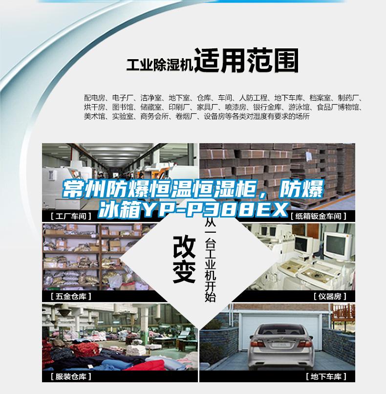 常州防爆恒溫恒濕柜，防爆冰箱YP-P388EX