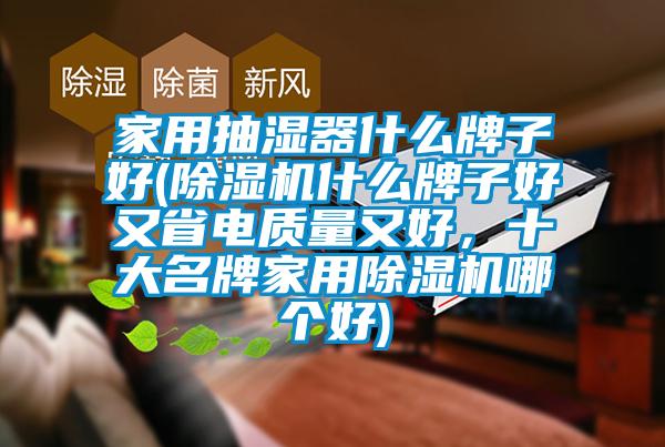 家用抽濕器什么牌子好(除濕機什么牌子好又省電質量又好，十大名牌家用除濕機哪個好)