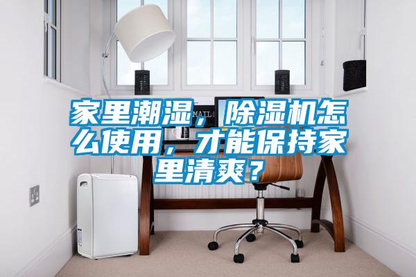 家里潮濕，除濕機怎么使用，才能保持家里清爽？