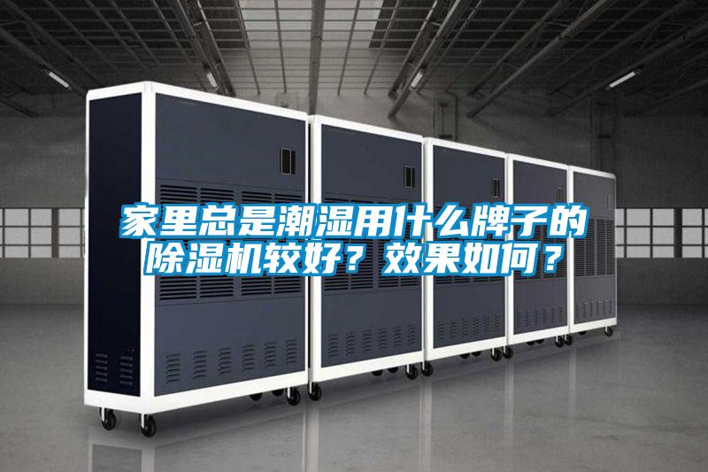 家里總是潮濕用什么牌子的除濕機較好？效果如何？