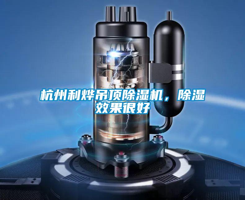杭州利燁吊頂除濕機，除濕效果很好