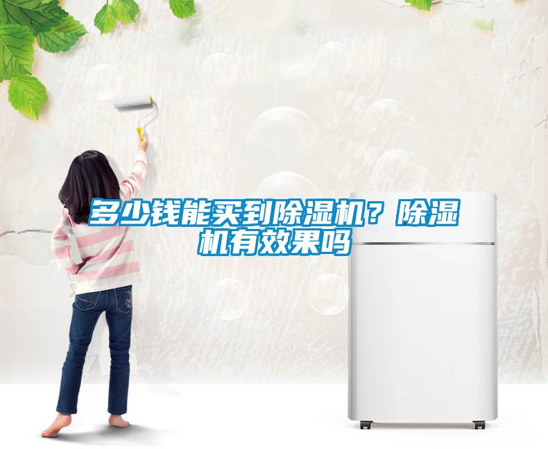 多少錢能買到除濕機？除濕機有效果嗎