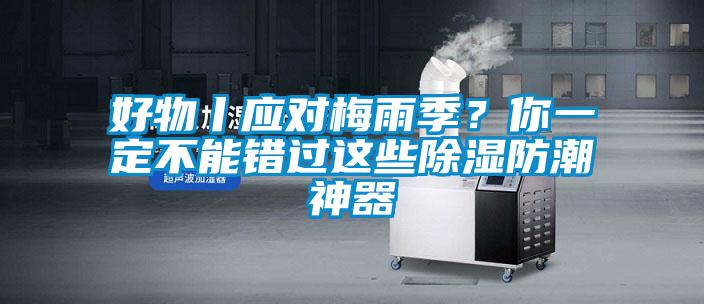 好物丨應對梅雨季？你一定不能錯過這些除濕防潮神器