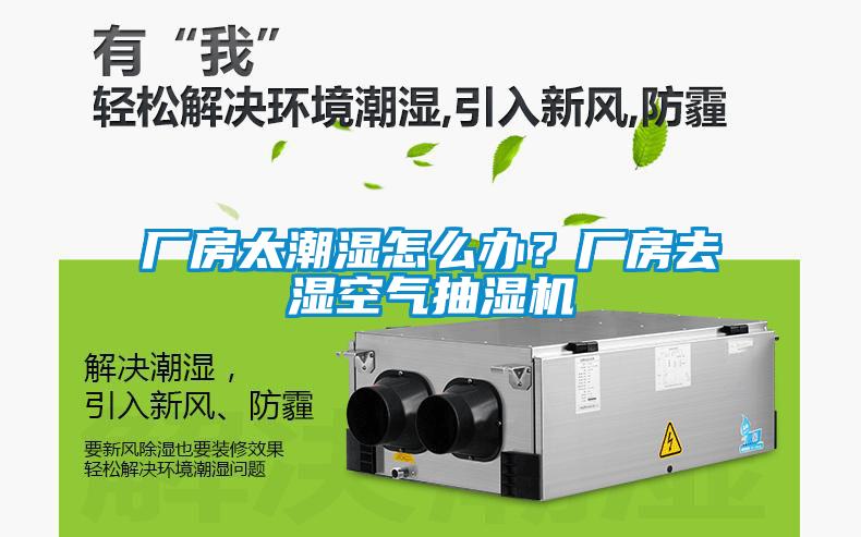 廠房太潮濕怎么辦？廠房去濕空氣抽濕機