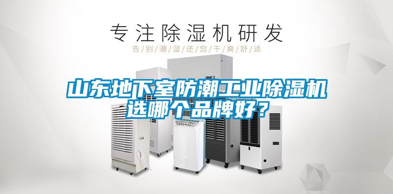 山東地下室防潮工業除濕機選哪個品牌好？