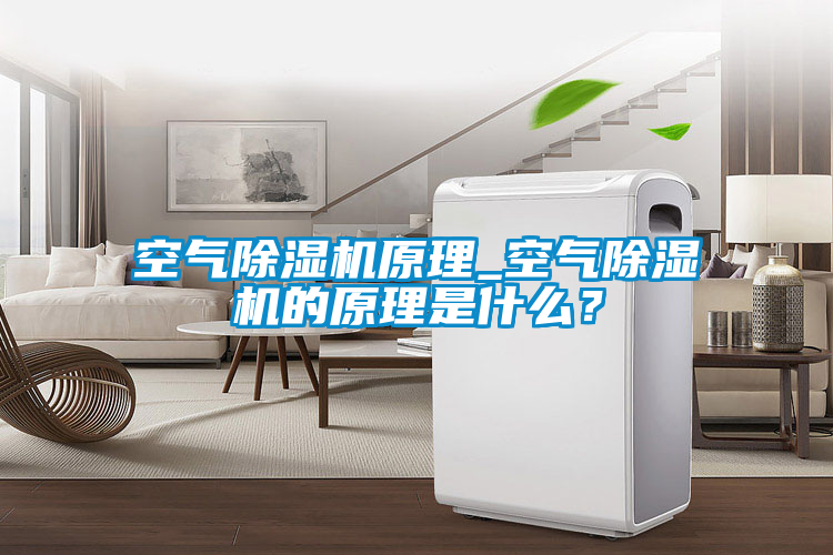 空氣除濕機原理_空氣除濕機的原理是什么？