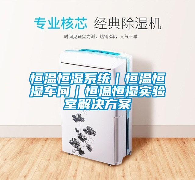 恒溫恒濕系統｜恒溫恒濕車間｜恒溫恒濕實驗室解決方案