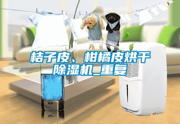 桔子皮、柑橘皮烘干除濕機_重復