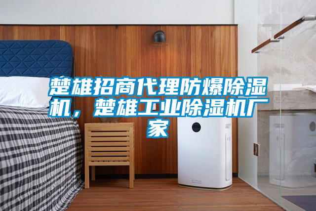 楚雄招商代理防爆除濕機，楚雄工業除濕機廠家