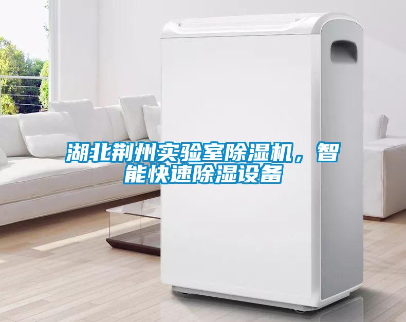 湖北荊州實驗室除濕機，智能快速除濕設備