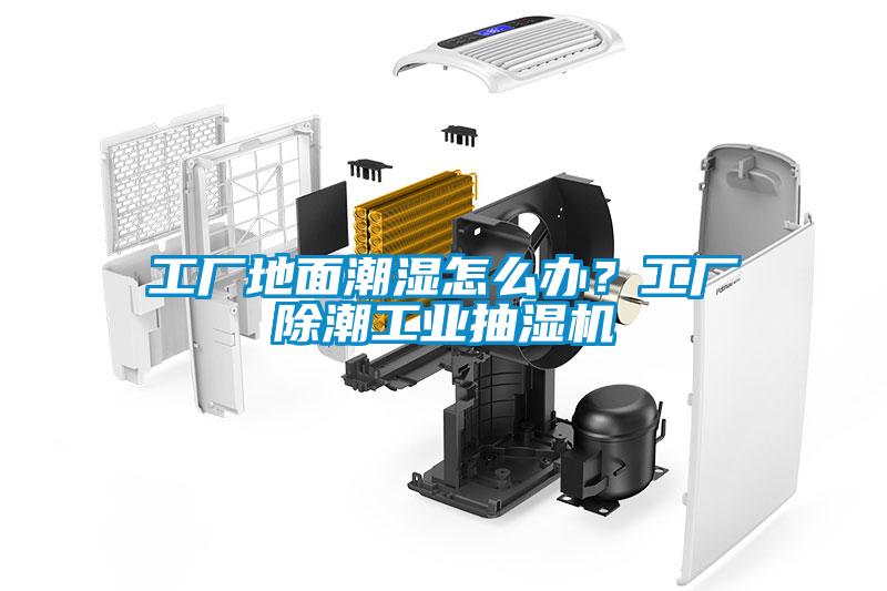 工廠地面潮濕怎么辦？工廠除潮工業抽濕機