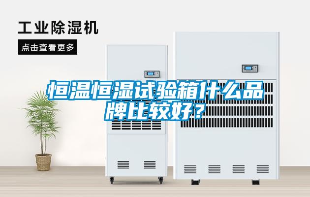 恒溫恒濕試驗箱什么品牌比較好？