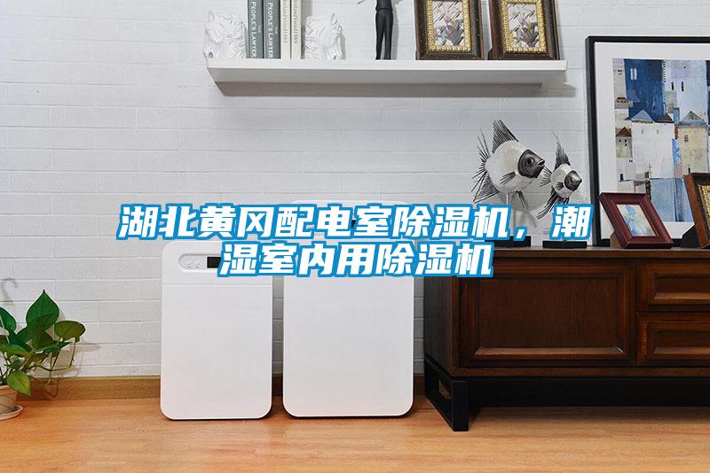 湖北黃岡配電室除濕機，潮濕室內用除濕機