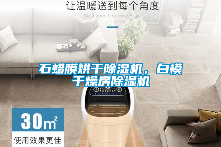 石蠟膜烘干除濕機，白模干燥房除濕機