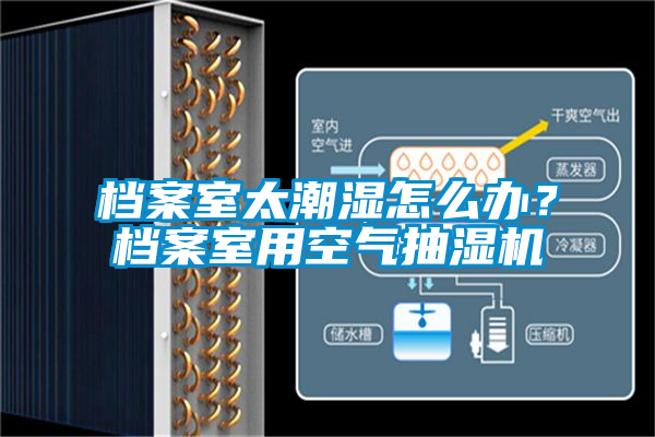 檔案室太潮濕怎么辦？檔案室用空氣抽濕機