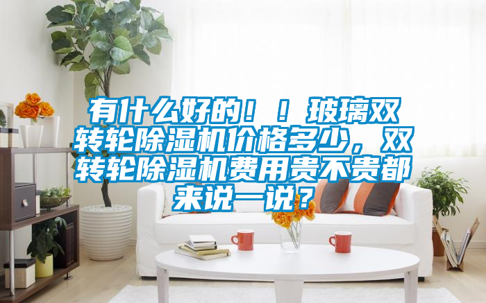 有什么好的??！玻璃雙轉輪除濕機價格多少，雙轉輪除濕機費用貴不貴都來說一說？