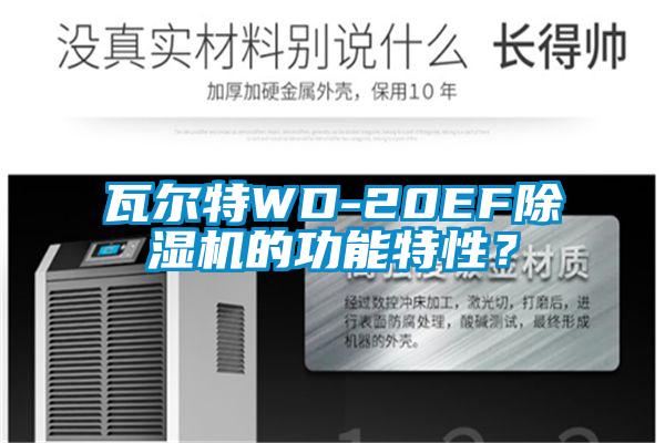 瓦爾特WD-20EF除濕機的功能特性？