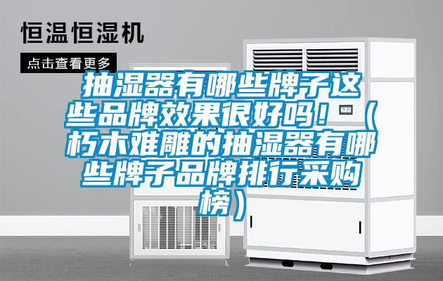 抽濕器有哪些牌子這些品牌效果很好嗎?。ㄐ嗄倦y雕的抽濕器有哪些牌子品牌排行采購榜）