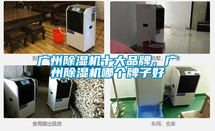 廣州除濕機十大品牌，廣州除濕機哪個牌子好