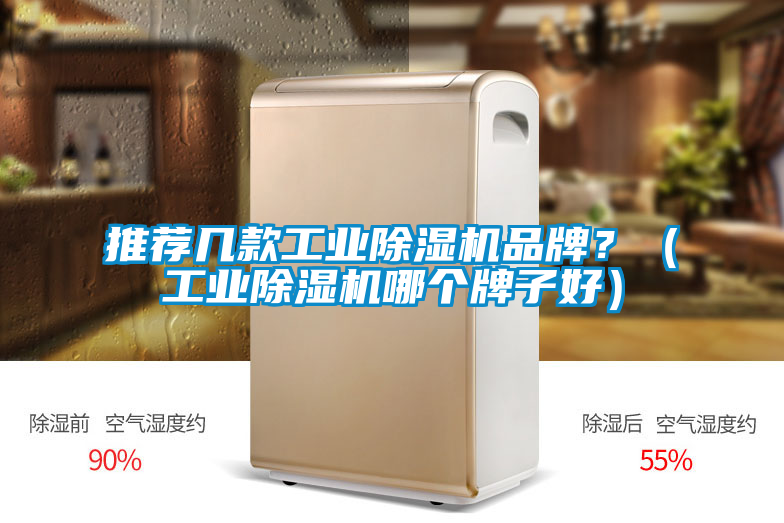 推薦幾款工業除濕機品牌？（工業除濕機哪個牌子好）