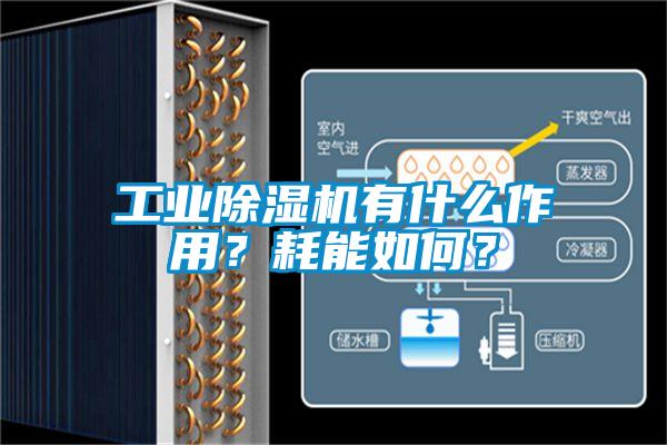 工業除濕機有什么作用？耗能如何？