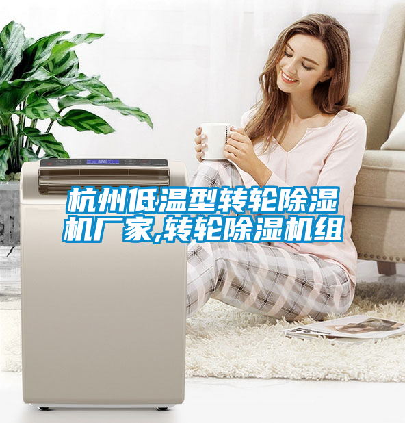 杭州低溫型轉輪除濕機廠家,轉輪除濕機組