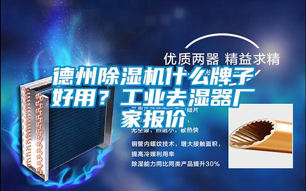 德州除濕機什么牌子好用？工業去濕器廠家報價