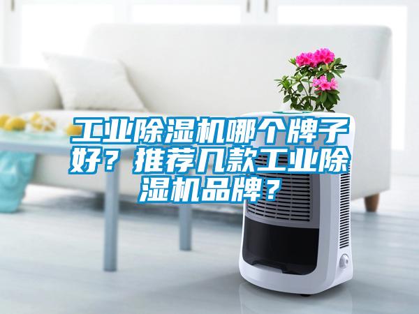 工業除濕機哪個牌子好？推薦幾款工業除濕機品牌？