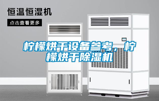 檸檬烘干設備參考，檸檬烘干除濕機