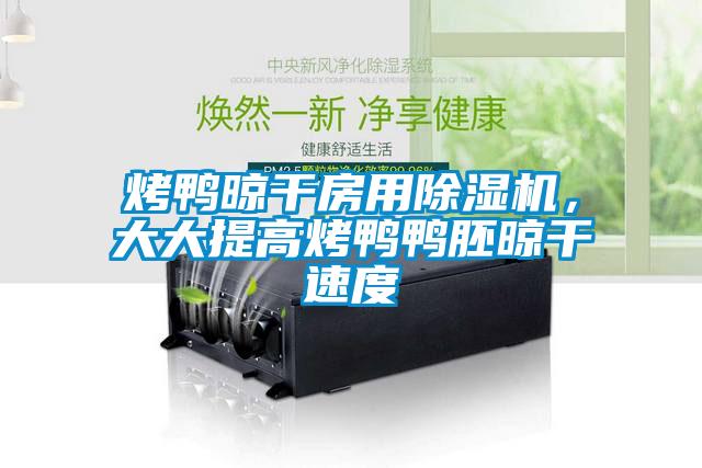 烤鴨晾干房用除濕機，大大提高烤鴨鴨胚晾干速度
