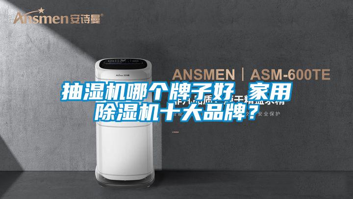抽濕機哪個牌子好 家用除濕機十大品牌？