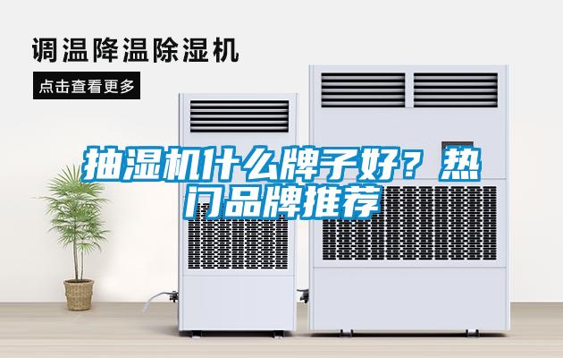 抽濕機什么牌子好？熱門品牌推薦