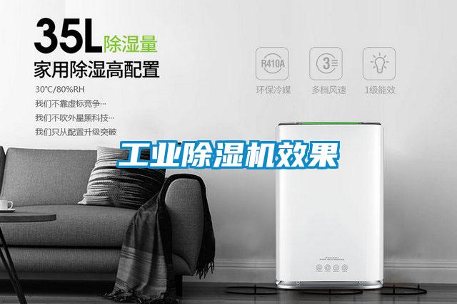 工業除濕機效果