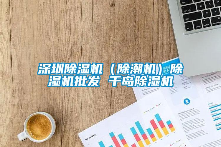 深圳除濕機（除潮機）除濕機批發 千島除濕機