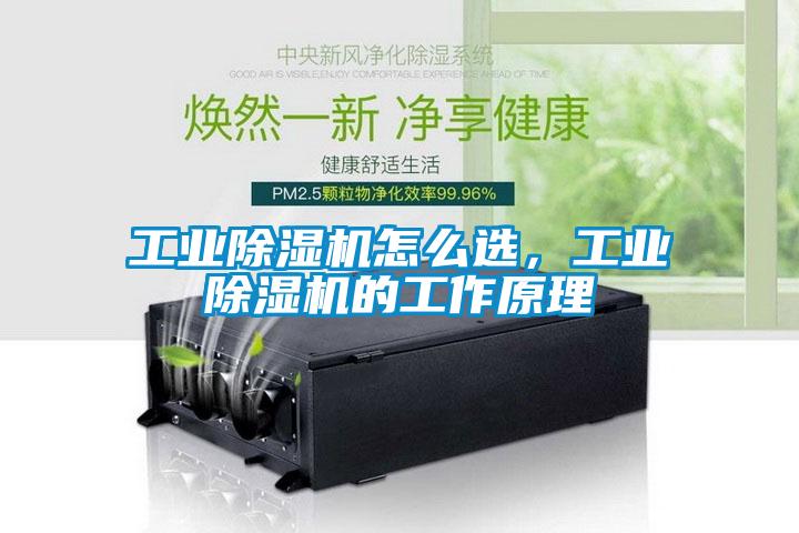 工業除濕機怎么選，工業除濕機的工作原理