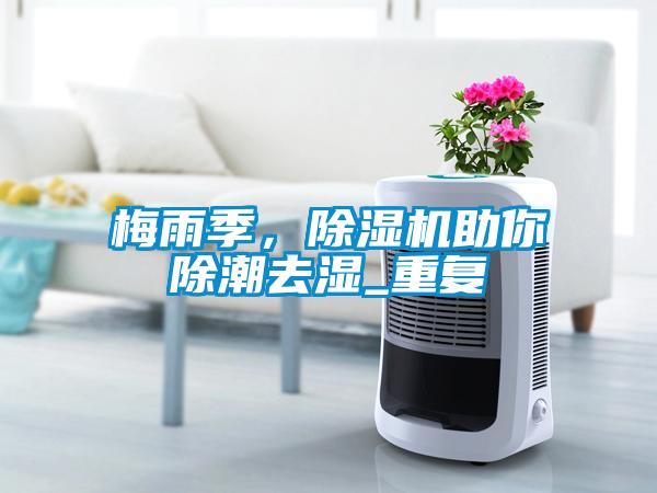 梅雨季，除濕機助你除潮去濕_重復