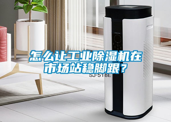 怎么讓工業除濕機在市場站穩腳跟？