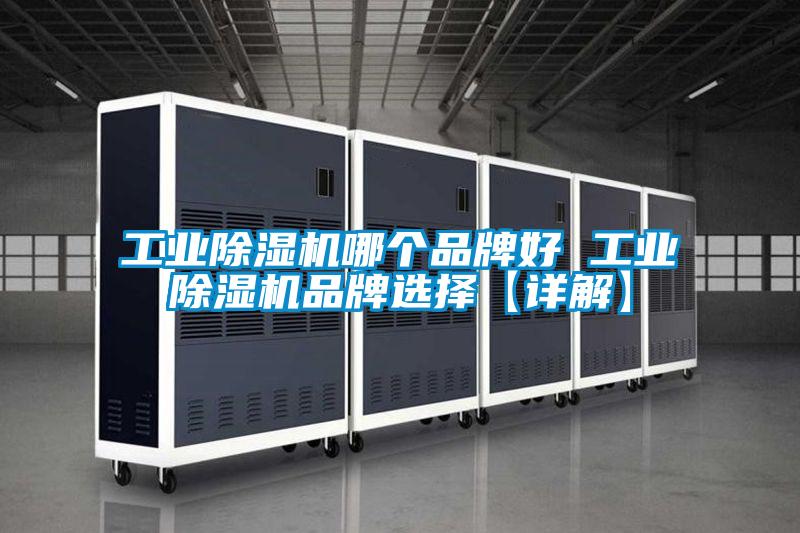 工業除濕機哪個品牌好 工業除濕機品牌選擇【詳解】