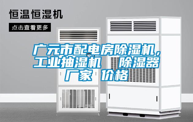 廣元市配電房除濕機，工業抽濕機  除濕器廠家 價格