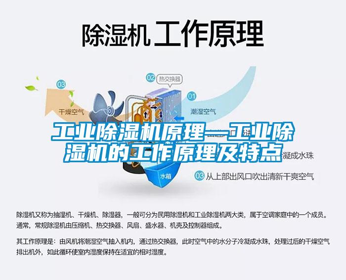 工業除濕機原理—工業除濕機的工作原理及特點