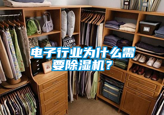 電子行業為什么需要除濕機？