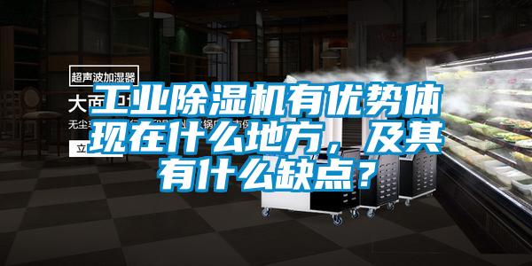 工業除濕機有優勢體現在什么地方，及其有什么缺點？