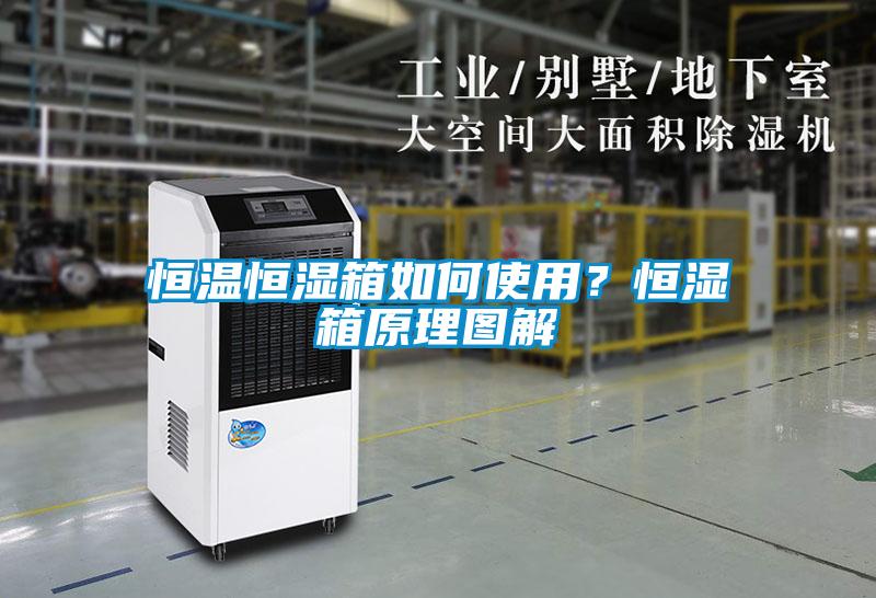 恒溫恒濕箱如何使用？恒濕箱原理圖解