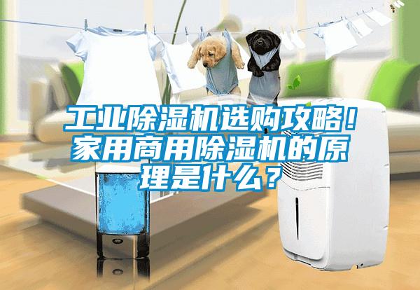 工業除濕機選購攻略！家用商用除濕機的原理是什么？