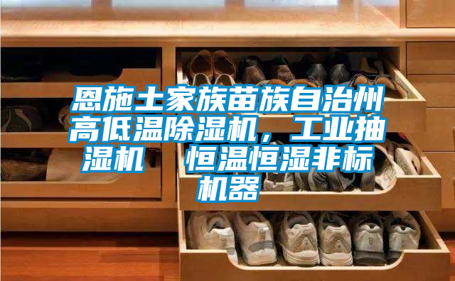 恩施土家族苗族自治州高低溫除濕機，工業抽濕機  恒溫恒濕非標機器
