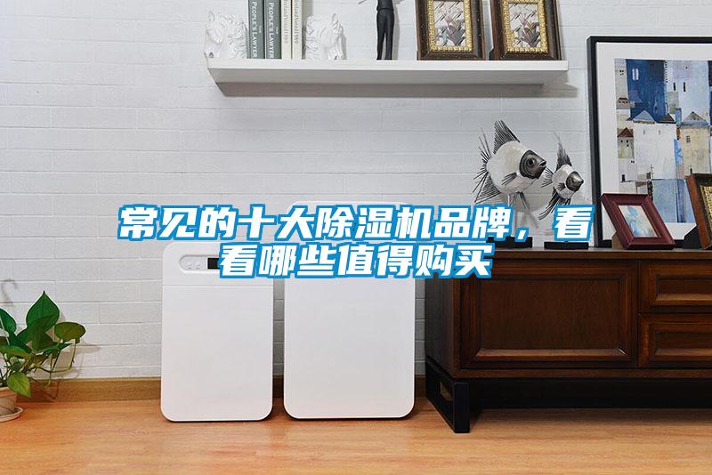 常見的十大除濕機品牌，看看哪些值得購買