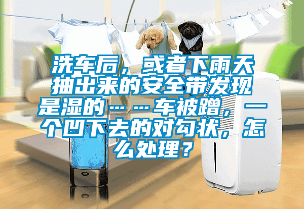 洗車后，或者下雨天抽出來的安全帶發現是濕的……車被蹭，一個凹下去的對勾狀，怎么處理？